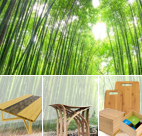 INDUSTRIAL BAMBOO