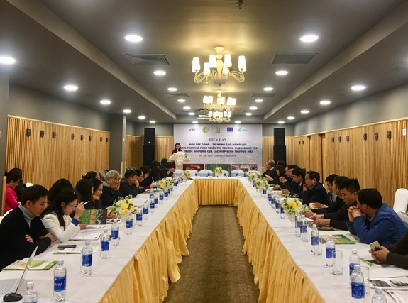 Nâng cao năng lực cạnh tranh và phát triển thị trường cho ngành tre Việt Nam